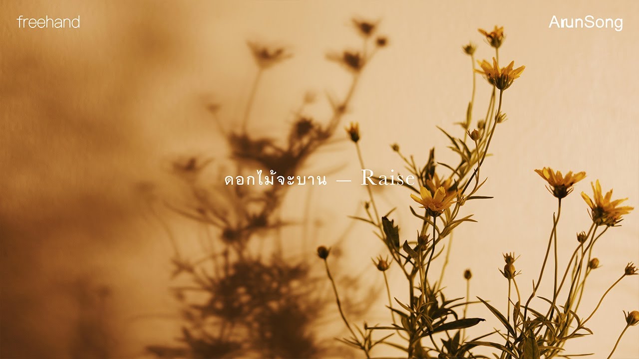 ดอกไม้จะบาน (Raise) : FREEHAND (ArunSong Visualizer)