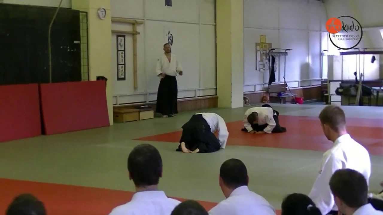 Bak László ( 4. dan ) bemutatója az Aikido Shobukan Dojo Eger 20. évfordulós rendezvényén