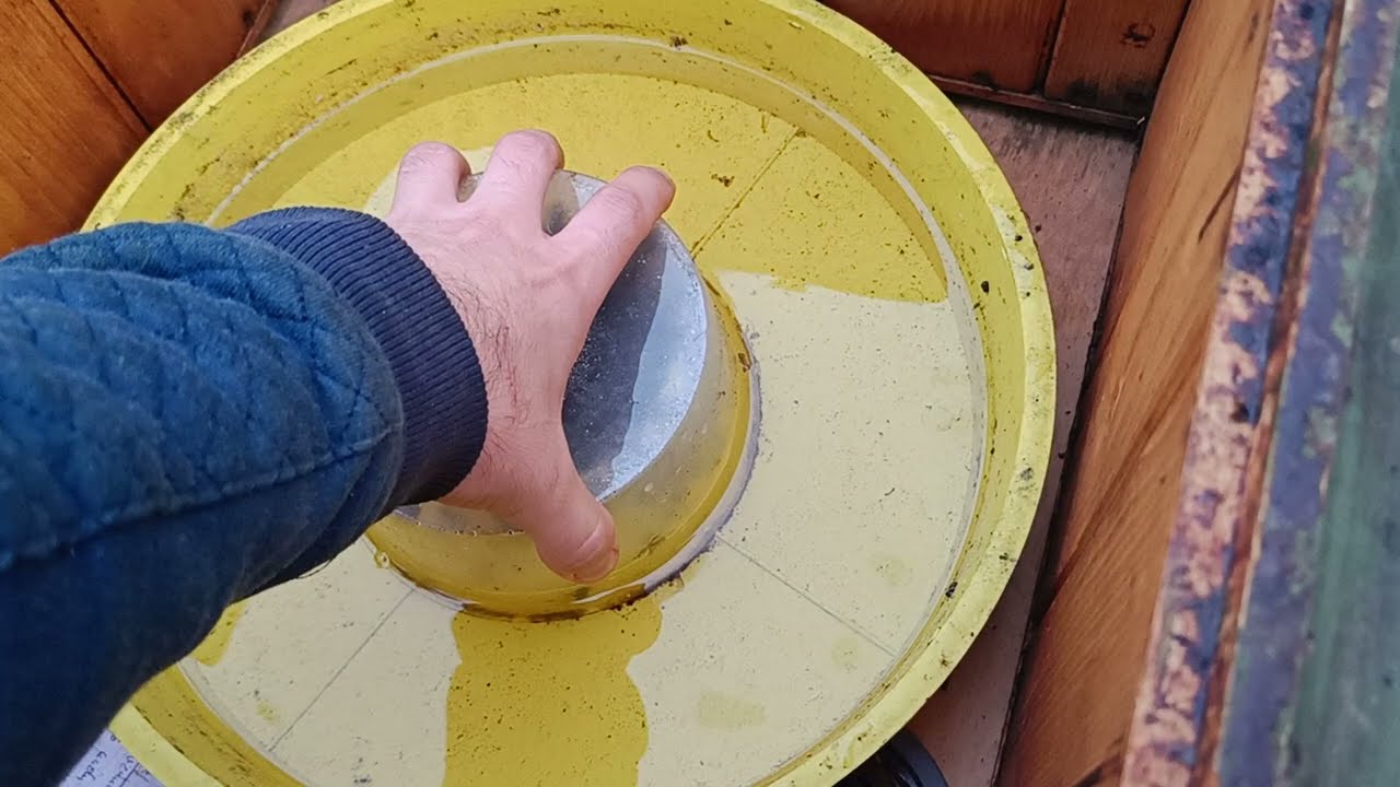 Czy podczas zimnych dni i nocy pszczoły pobierają syrop cukrowy? atak os na ul ?!