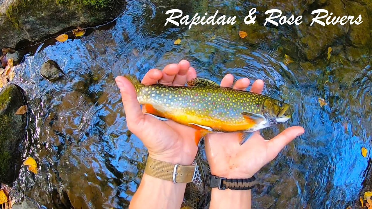 Rapidan & Rose Rivers - Shenandoah National Park