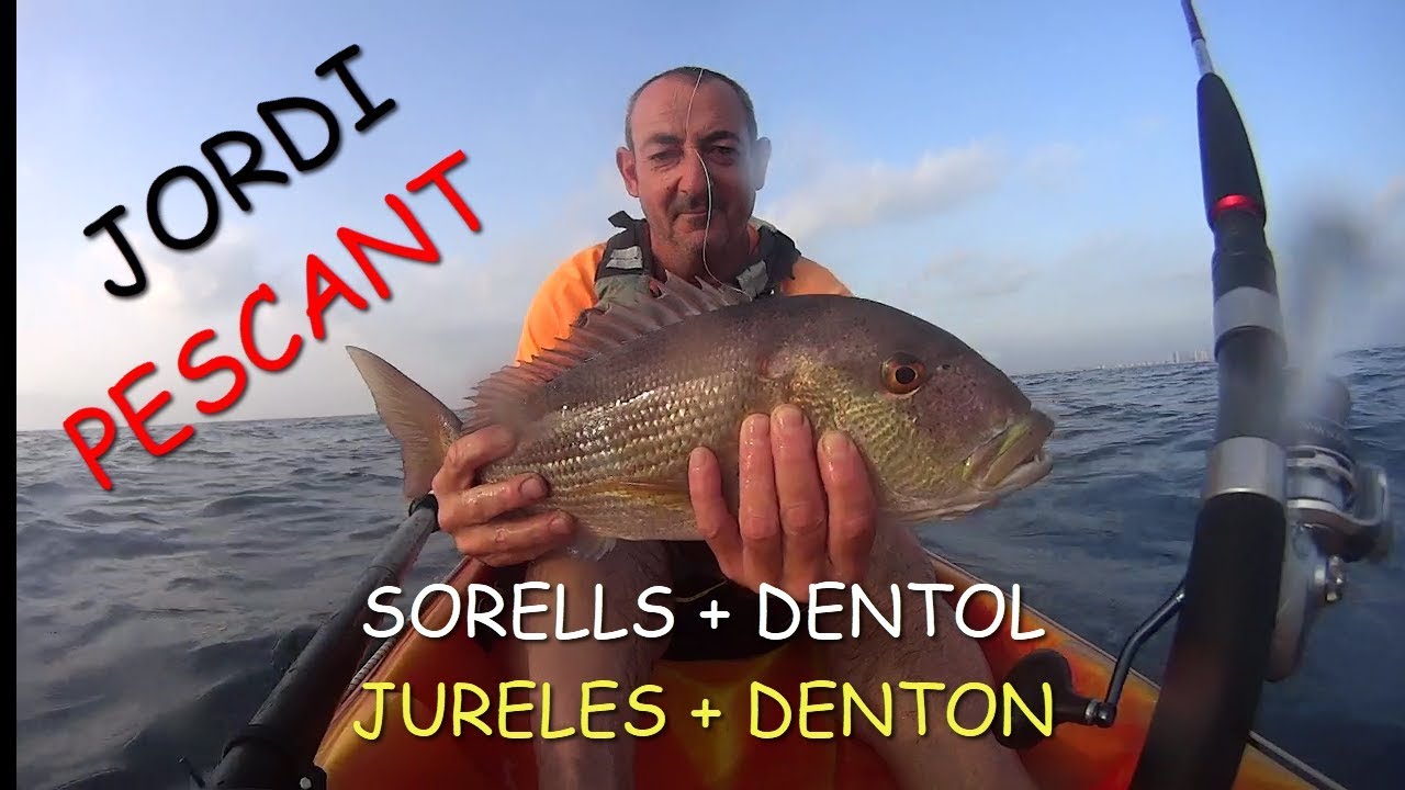 JURELES + DENTON.