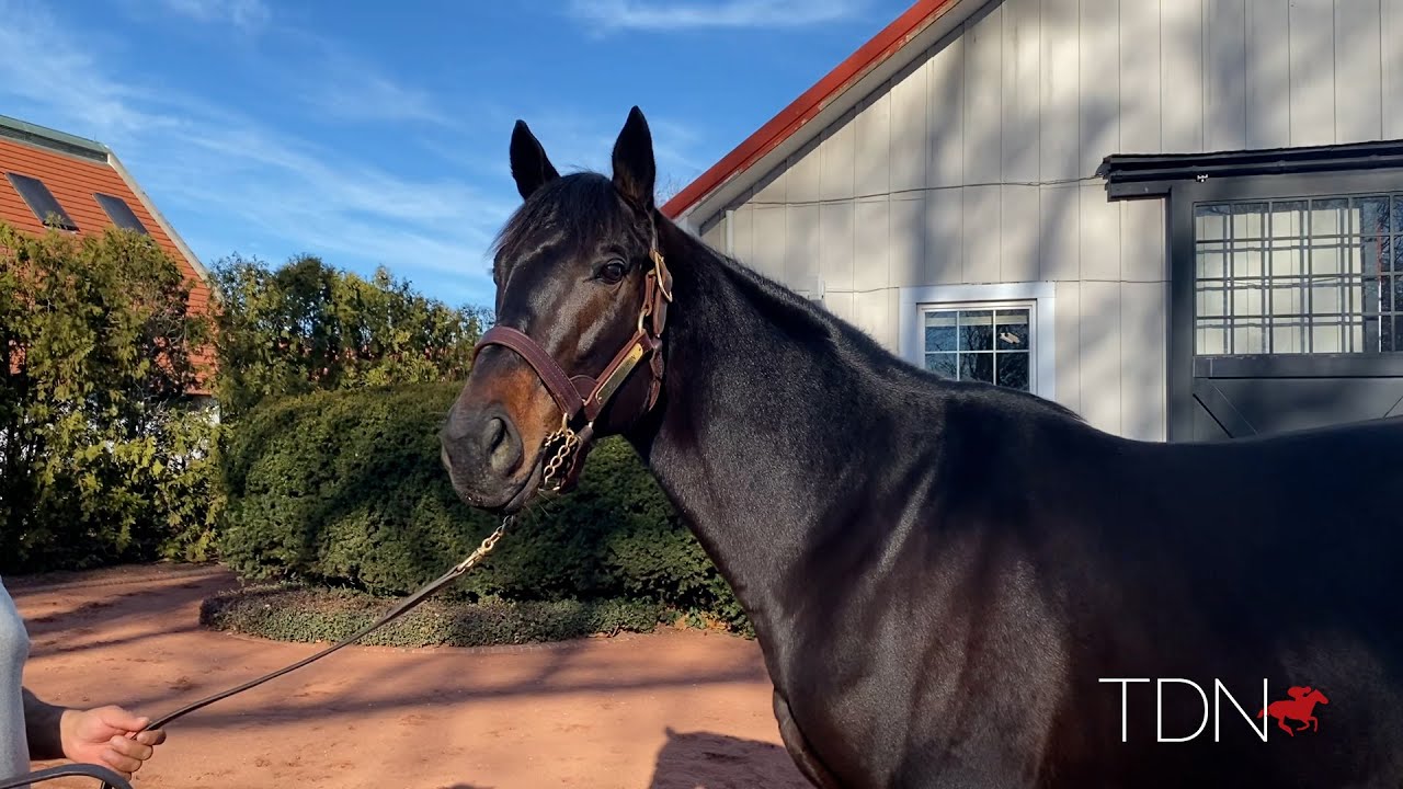 Spun to Run Looks to Build Upon Dirt Mile Success