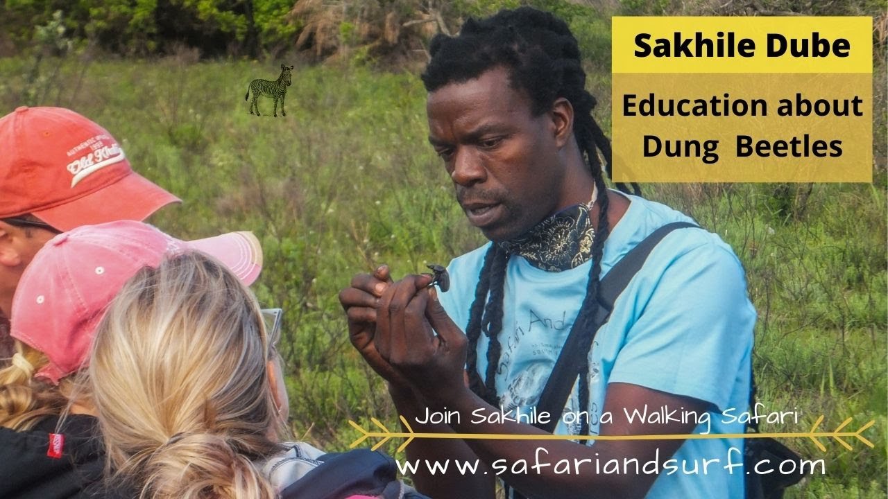 Sakhile Dube educates on dung beetles