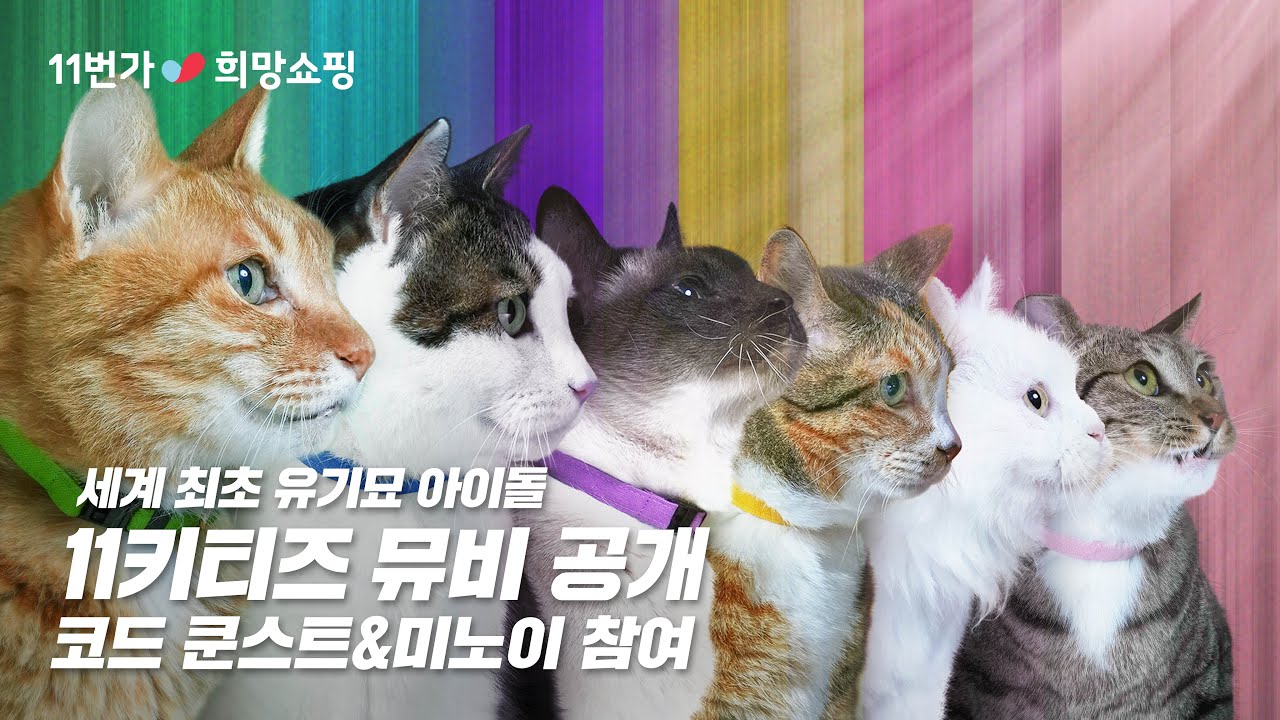 [11번가 희망쇼핑] 11키티즈 &ndash; Take Me (Prod. by 코드 쿤스트)(Song by 미노이) Official M/V