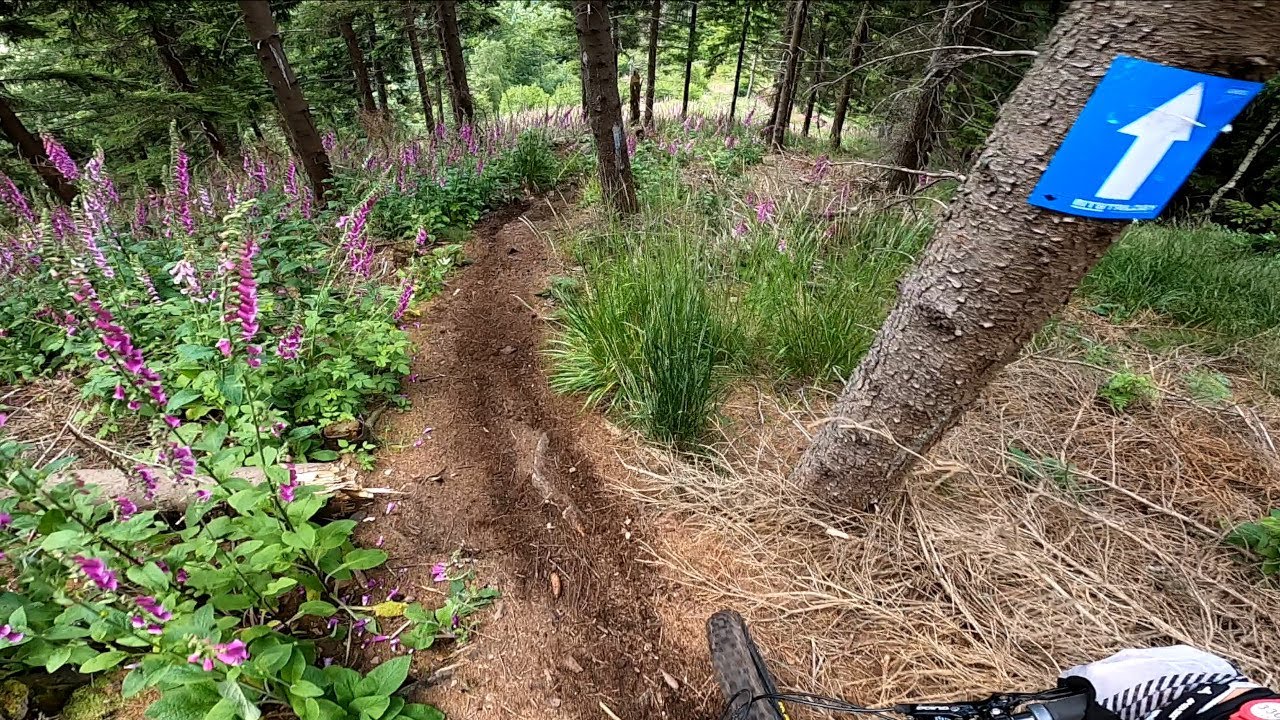 Mtb trilogy 2023 - 1. etapa Kleine Alpen | Hodně z kopce na volnejch šutrech