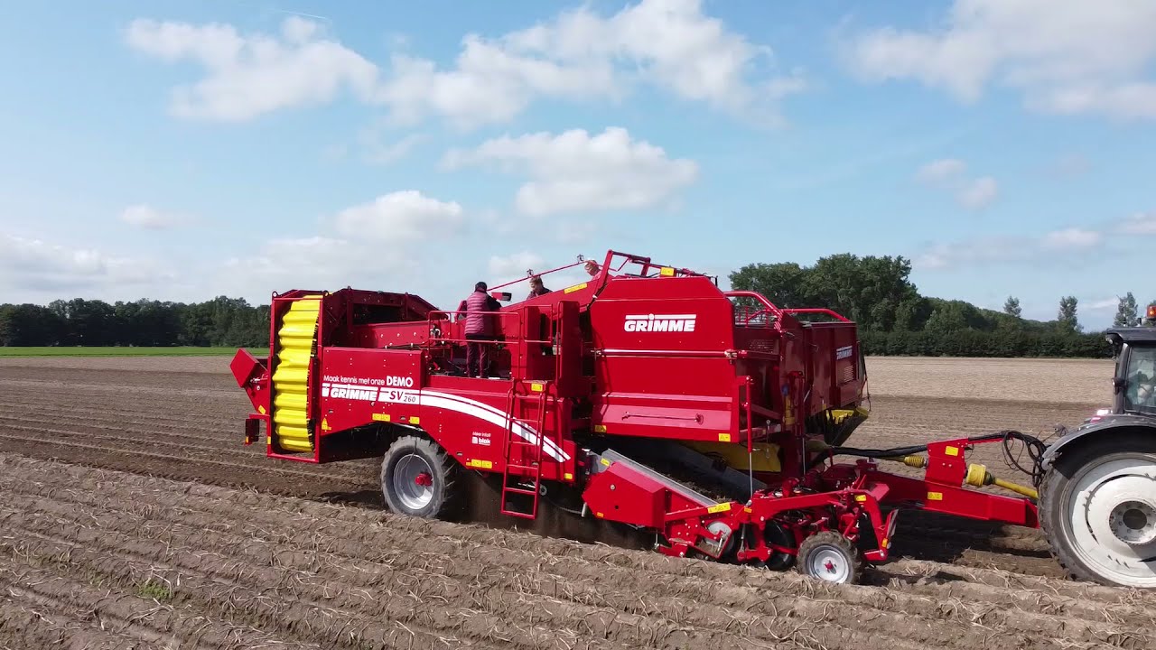Grimme SV 260 - Potato Harvesting