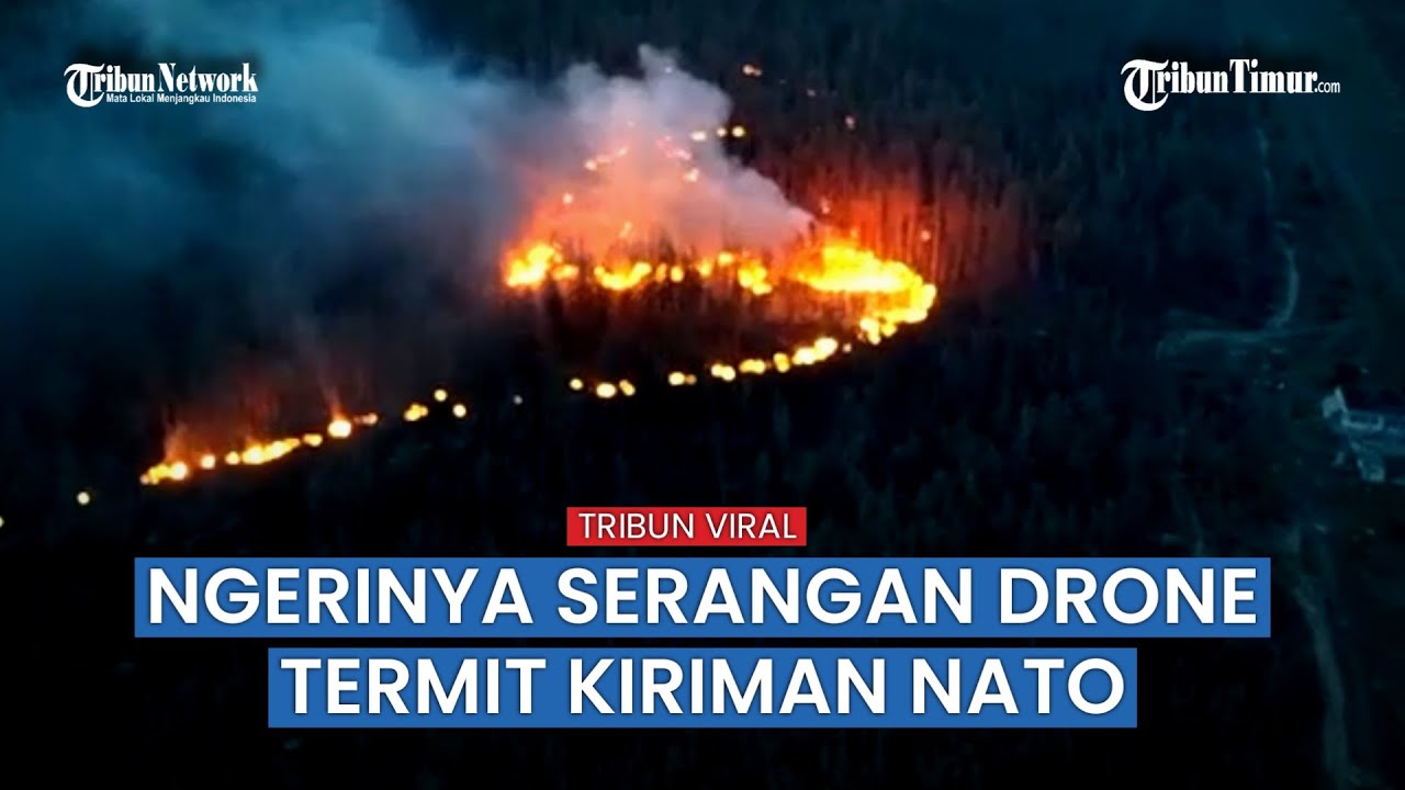 Drone Naga Ukraina Bakar Tempat Sembunyi Tentara Rusia, 1.200 Pasukan Putin Jadi Korban Sehari