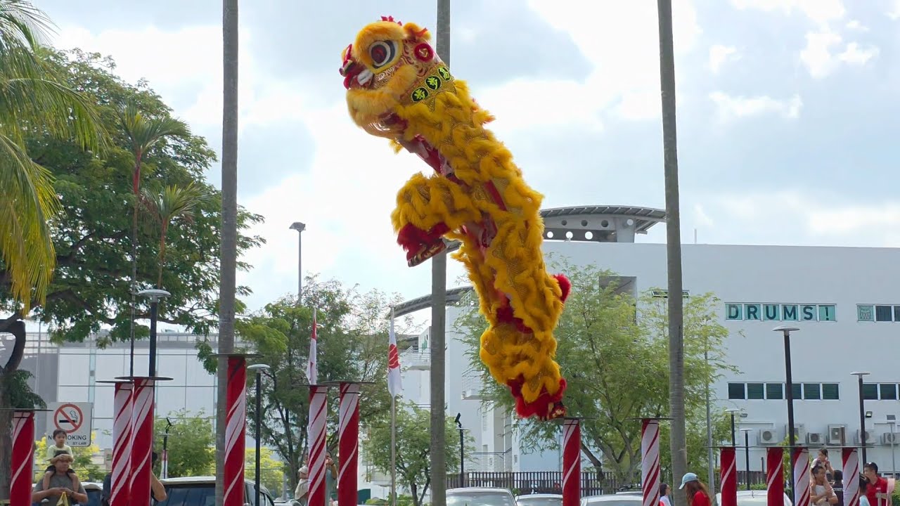 【世界獅王】新加坡藝威體育會 Singapore Yiwei Lion Leaping on High Poles Performance at Safra Tampines 07/02/26