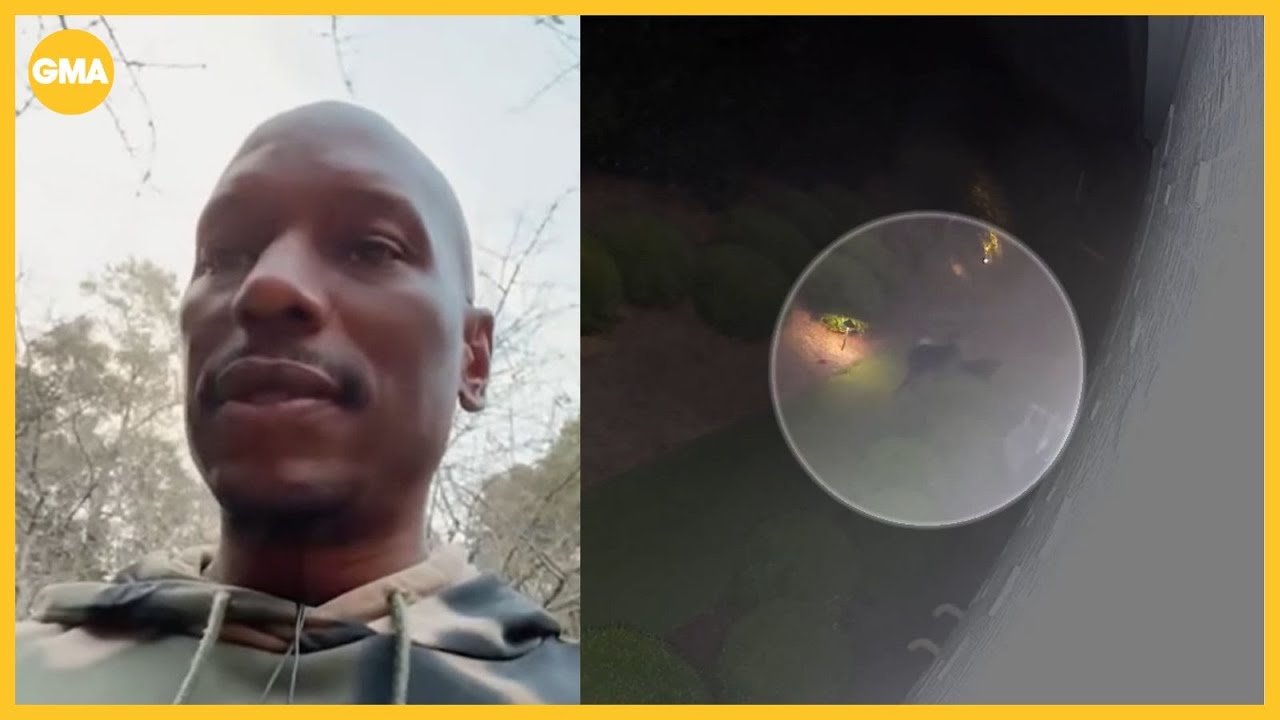 Arrest warrant issued for Tyrese Gibson for animal cruelty