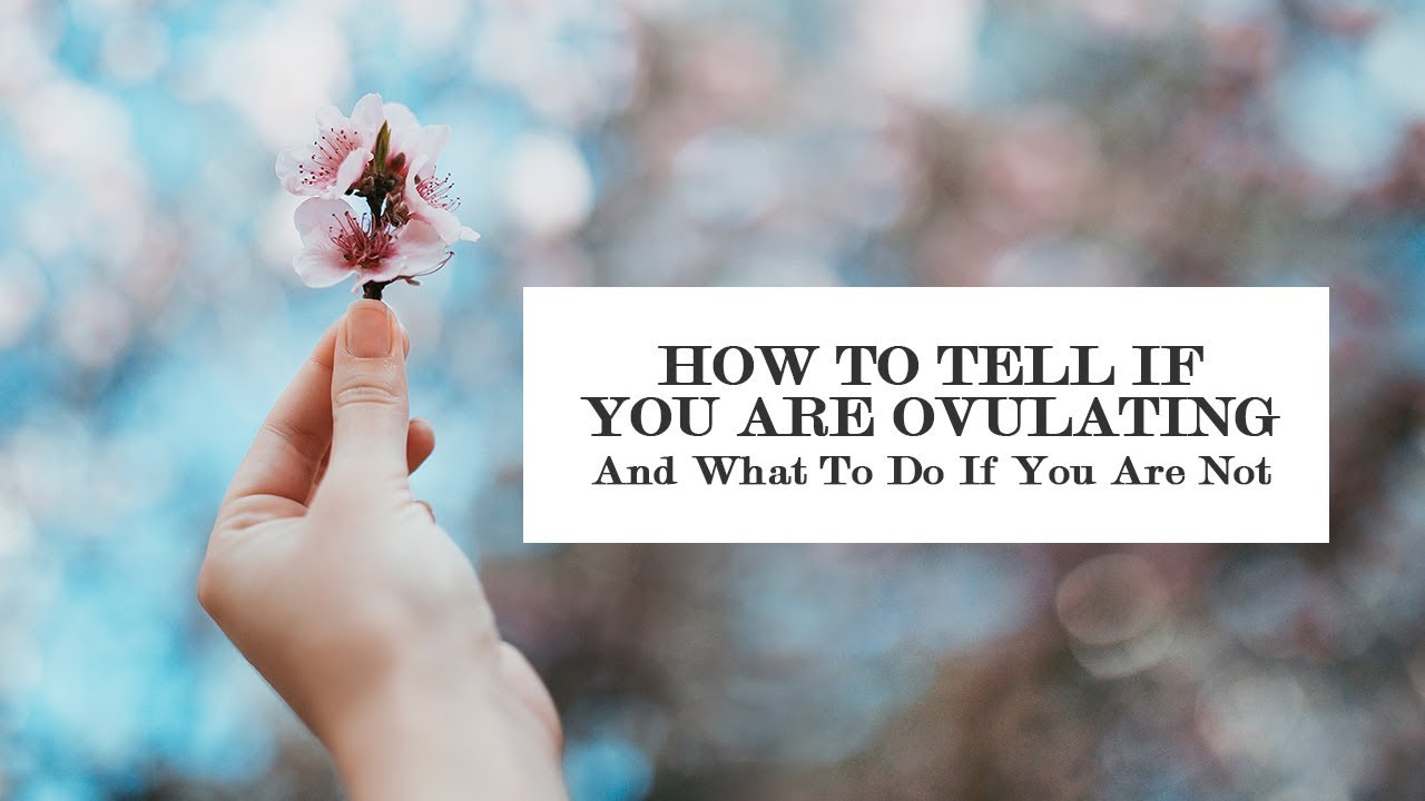 Video: How To Tell If You’re Ovulating, When You Ovulate and What To Do If You’re Not