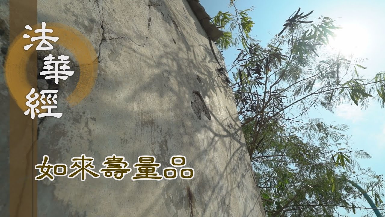 【靜思妙蓮華】法華經如來壽量品 - 佛設方便 令服法藥 - 20231108 第1541集