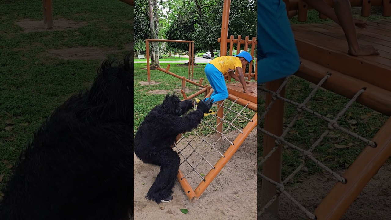 The Great Kong Scare #funny #viral #funnyvideo #comedy #like #monkey #gorilla