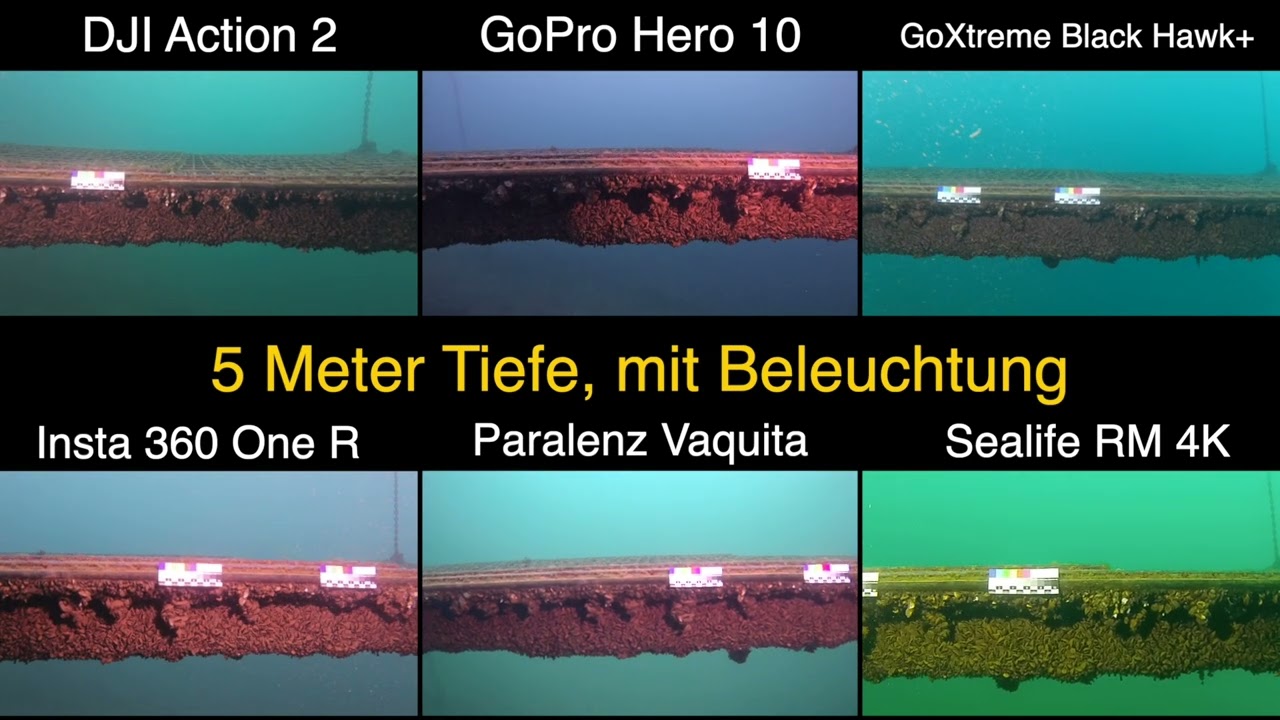 Aktuelle Actioncams Teil 2 - der Praxistest unter Wasser