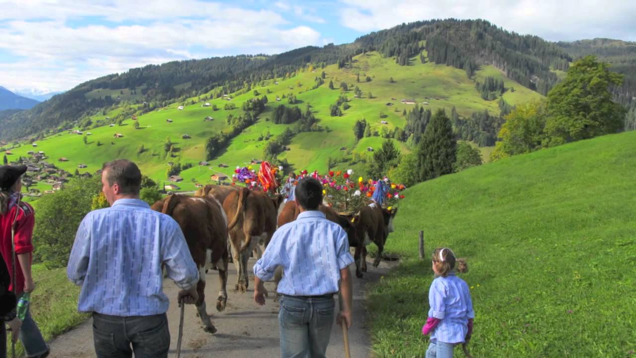 Alpabzug in Habkern