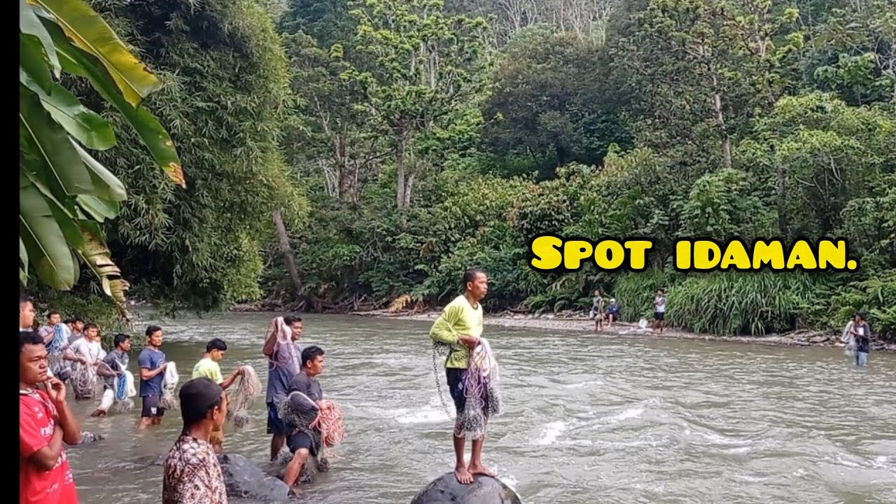 Cast net fishing, JALA IKAN DISUNGAI TERBARU LUBUK LARANGAN ANAK YATIM SINGENGU
