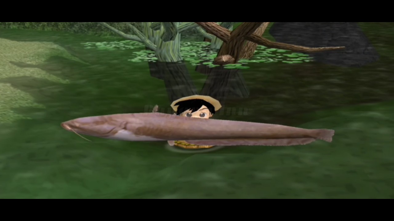 All fish and location - River king: a wonderful journey (map: Swamp)