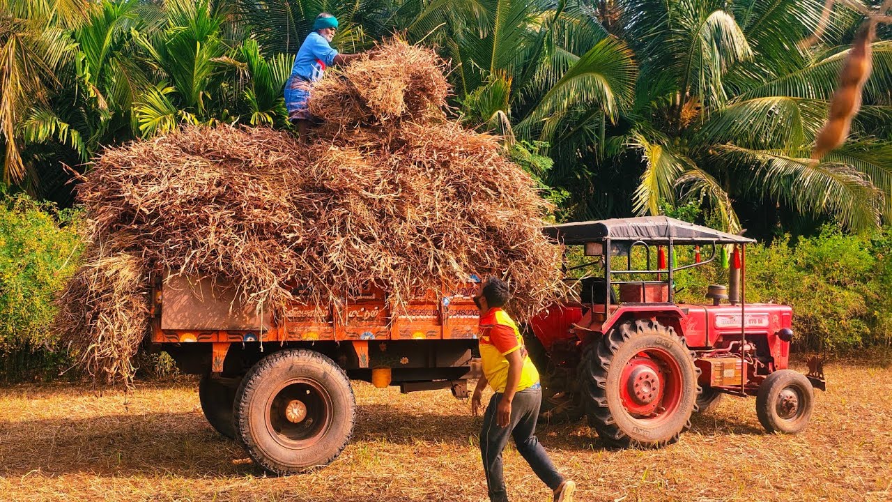 Mahindra 575 di tractor goes to solathadu loading video 