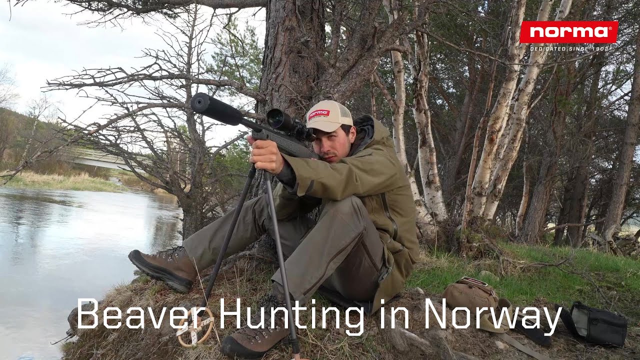 Beaver Hunting in Norway
