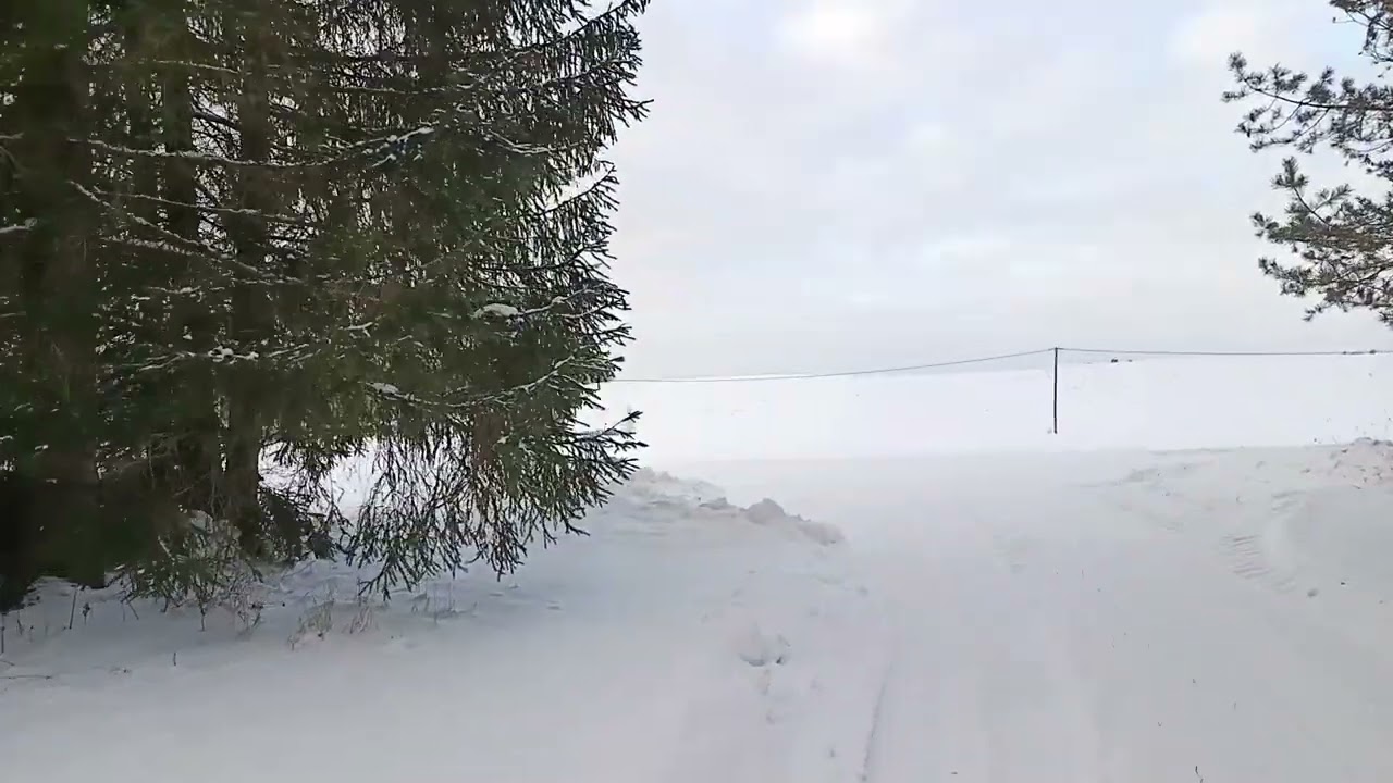 Jalutuskäik ürg Piusa pervele