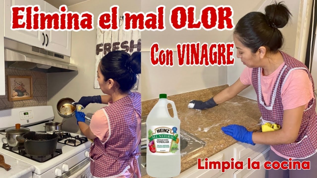 ✅VINAGRE DE CANELA, LIMPIA Y ELIMINA EL MAL OLOR, LIMPIA TODO Y DEJA IMPECABLE| COCINA LIMPIA