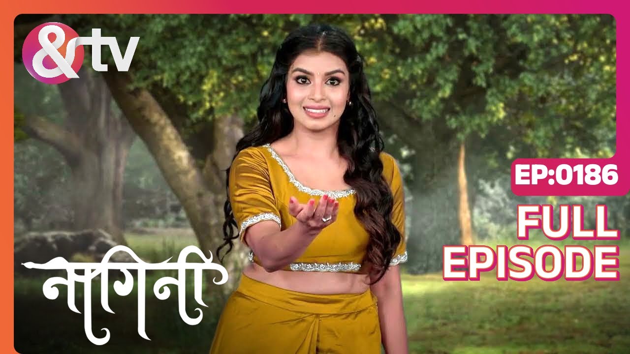 Trishna और Dakshayani को किसने मार दिया है ? | Nagini Full Ep 186  Shivani | Adishesha @And TV