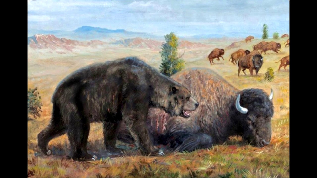 Zdenek Burian art:Cave Bear--Ursus spelaea
