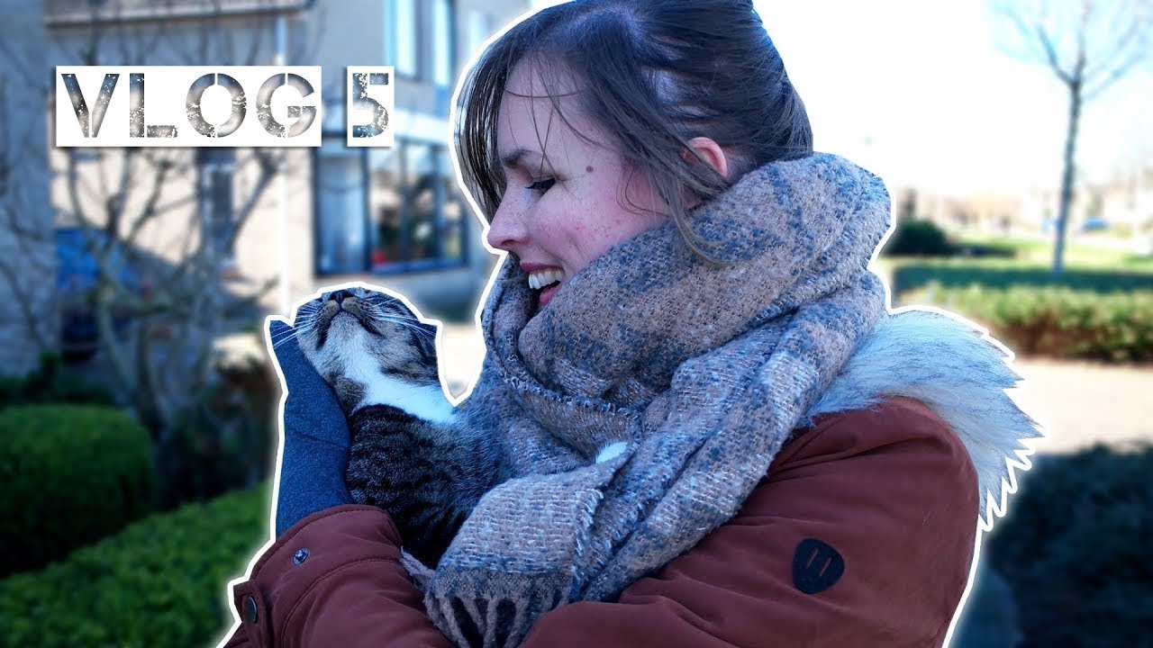 Dit gebeurde er met onze auto #Vlog 5