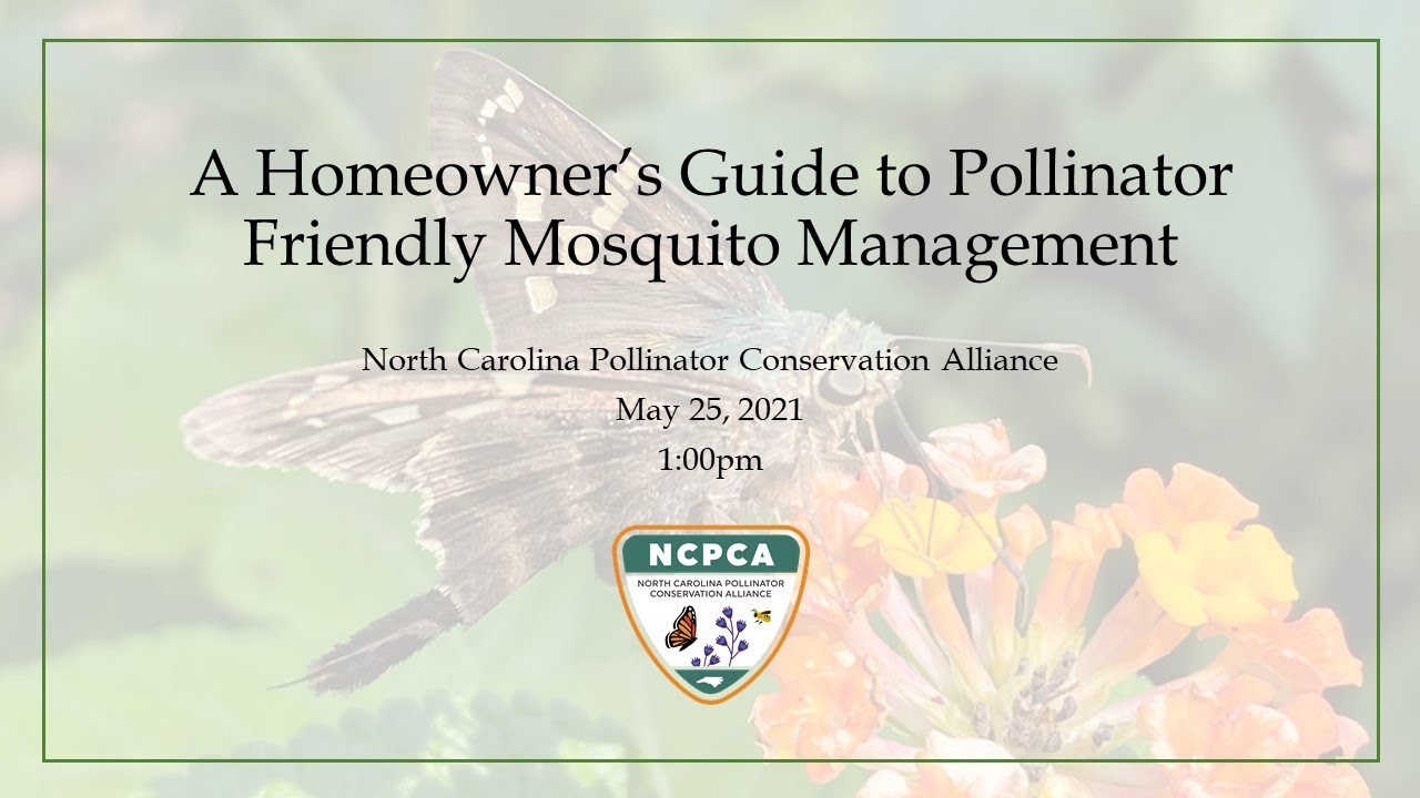A Homeowner's Guide to Pollinator Friendly Mosquito Management