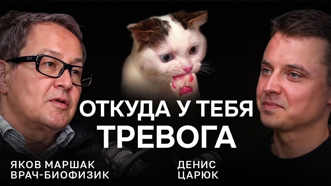 Что помогает при тревоге? — Доктор Яков Маршак, инструкция от тревоги