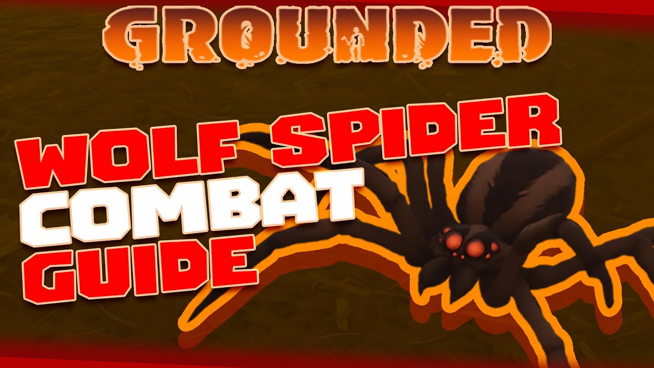 Wolf Spider Combat Guide | Grounded