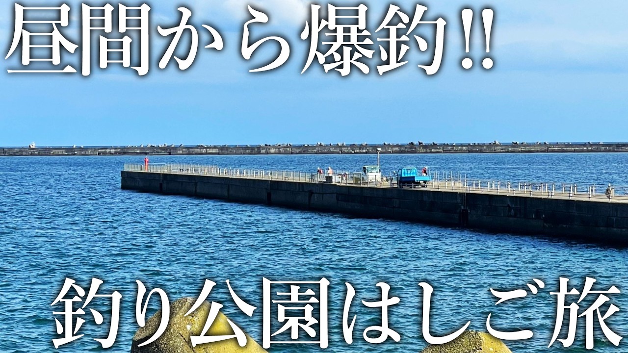 昼間の釣り公園で魚が釣れすぎる！爆釣を求めて釣り公園はしご旅