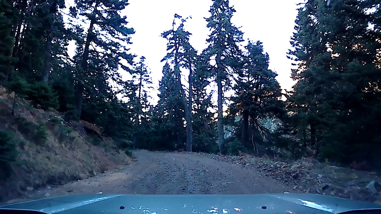 Parnassos Itamos-Elatos trail short clip