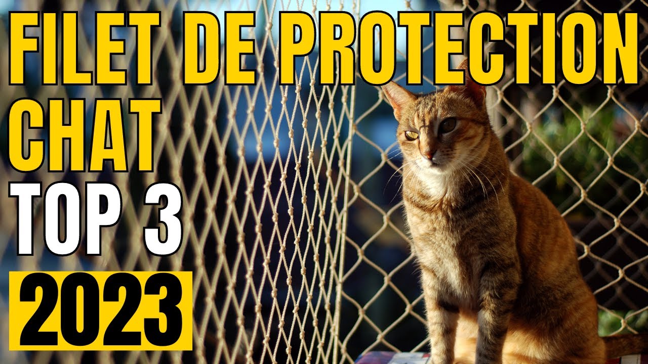 TOP 3 : Meilleur Filet de Protection Chat 2023
