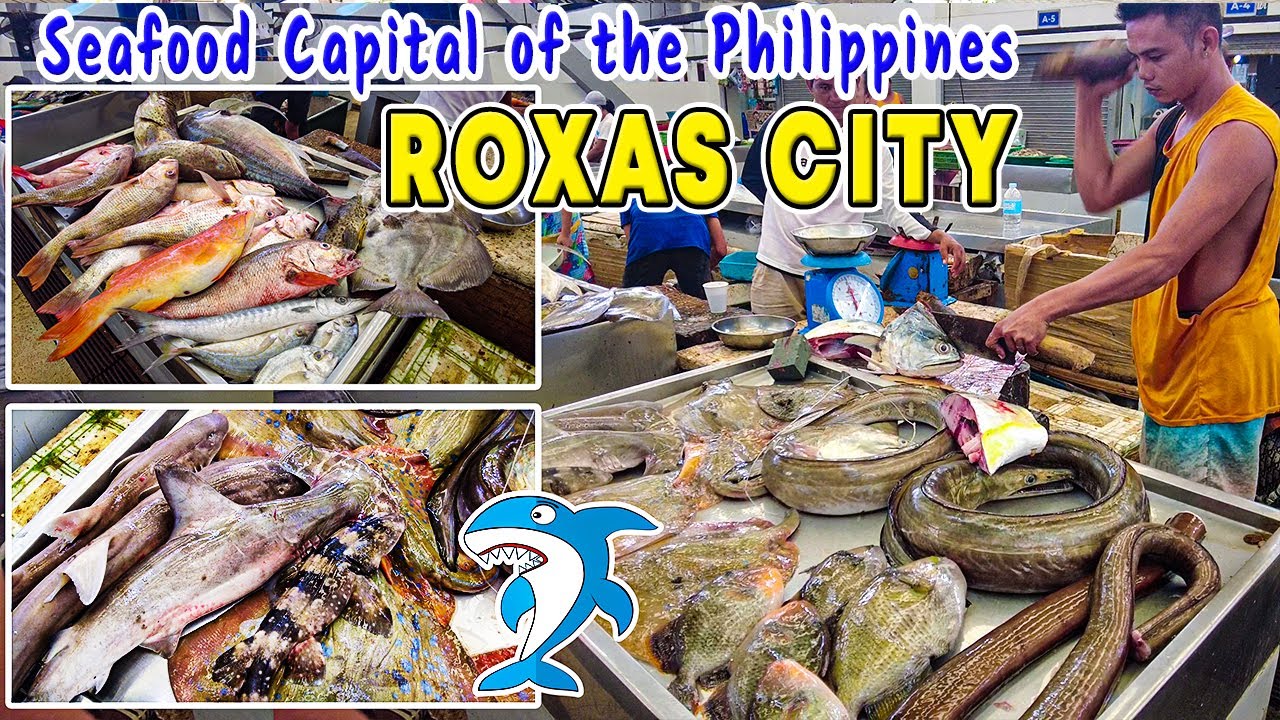 Unveiling the Seafood Capital of the Philippines: ROXAS CITY PUBLIC MARKET and  Bountiful Offerings