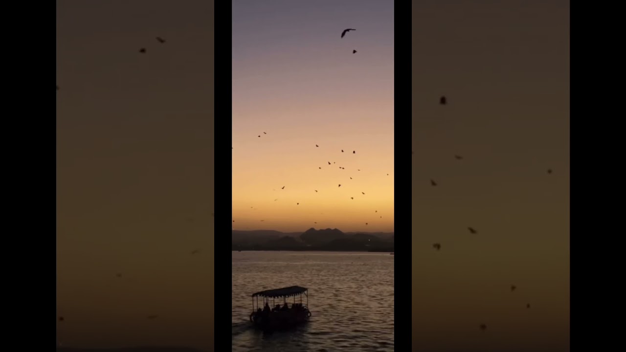 उदयपुर✨🕊️🍂 #travel #8daudio #song #views #sunset #udaipur @officialGauravparmarvlog