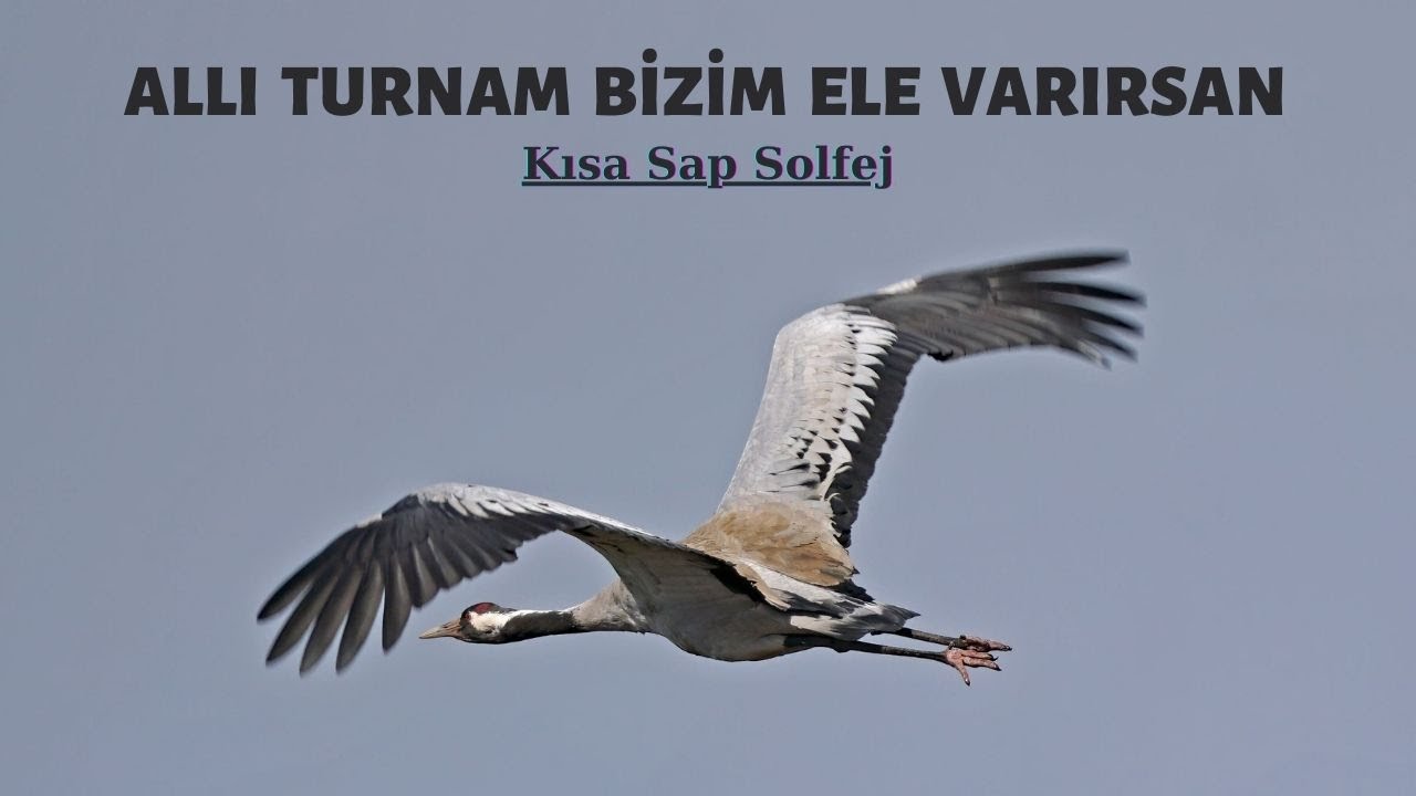 Bağlama Dersi 91 Alaaddin Yiğit ile ( Kısa Sap 