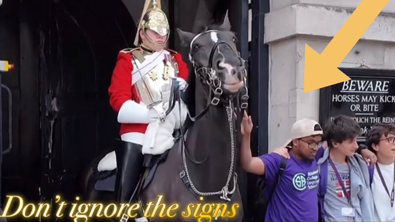 DISRESPECTFUL TOURISTS PROVOKED AND MESSED THE WRONG KING’S GUARD And THIS HAPPENED!!!