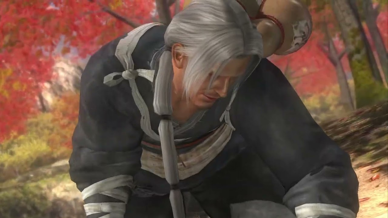 Brad Wong Vs Everyone All Dead or Alive 5 Last Round