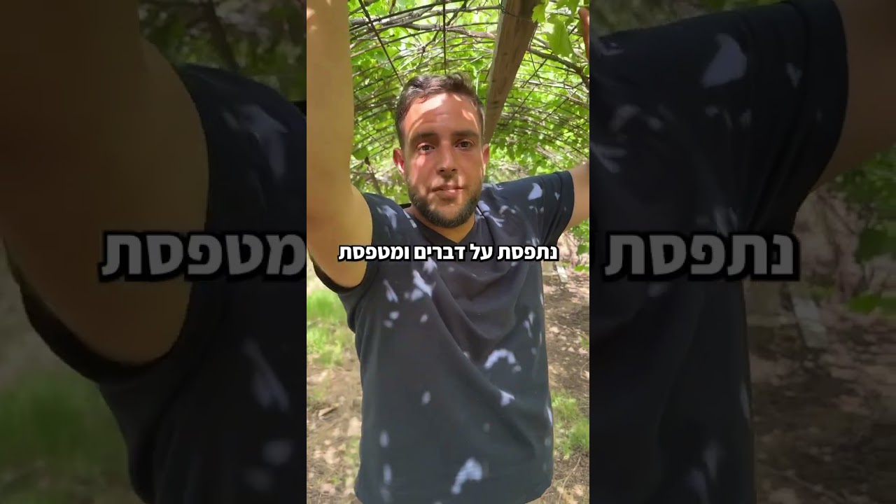 ידעתם את זה? #גפן