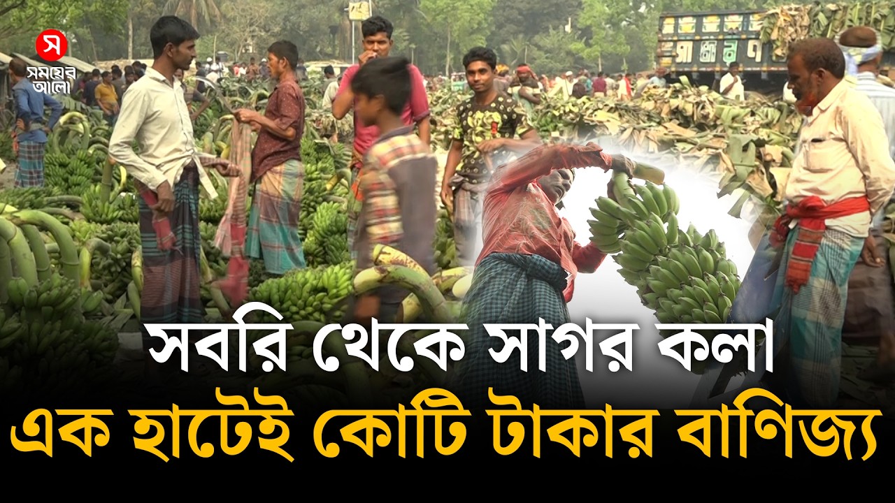 সবরি থেকে সাগর কলা, এক হাটেই কোটি টাকার বাণিজ্য