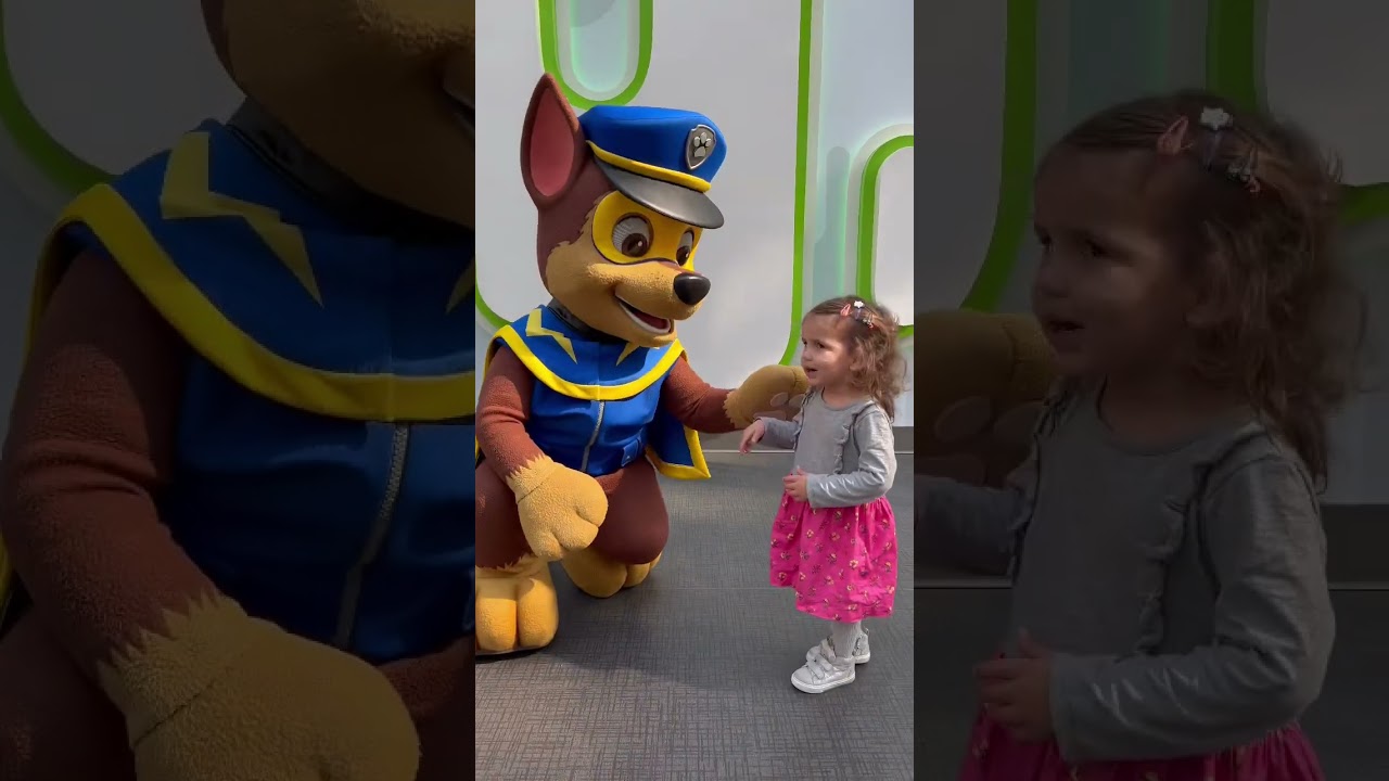 Paw patrol 🐾 #patrulhacanina #nickelodeon #chase #marshall