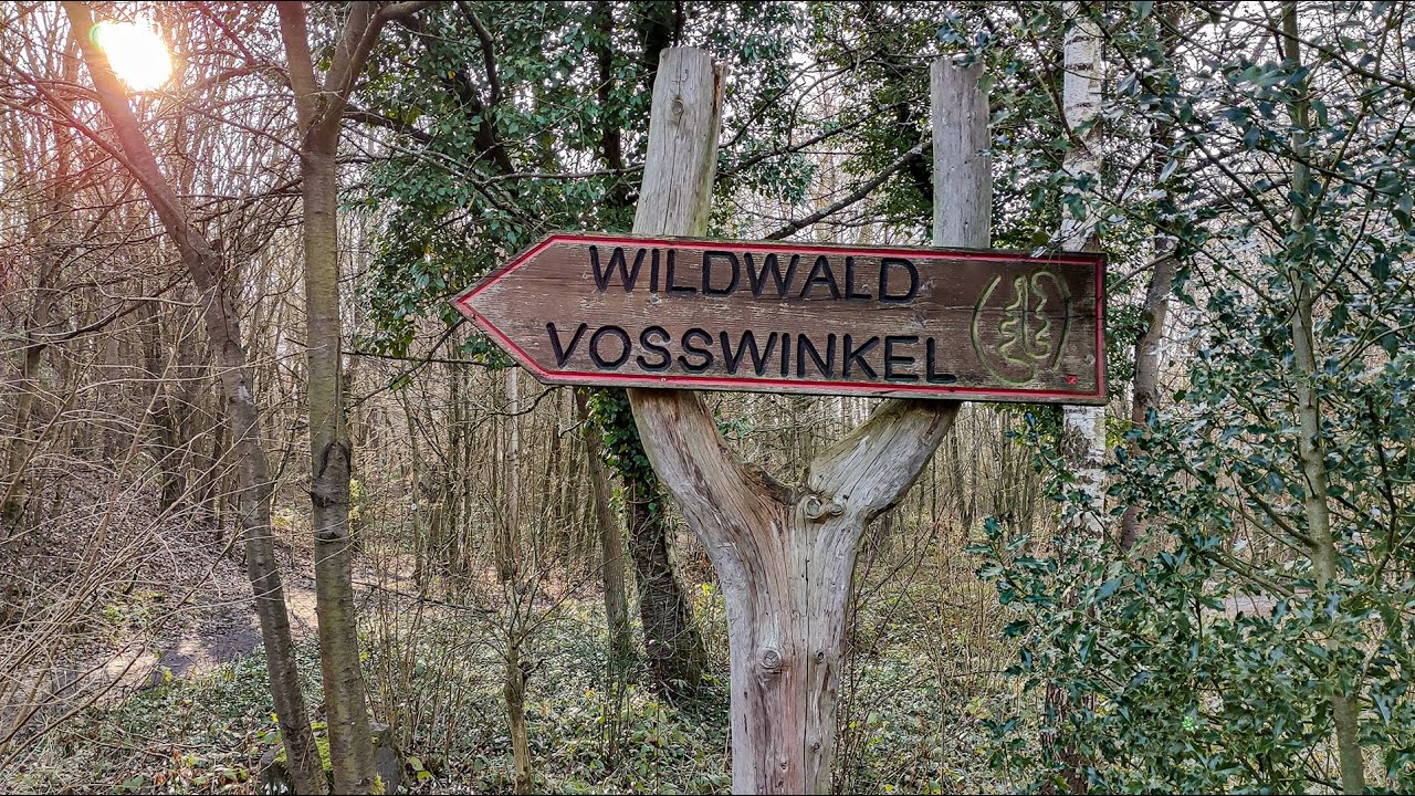 Wildwald Vosswinkel