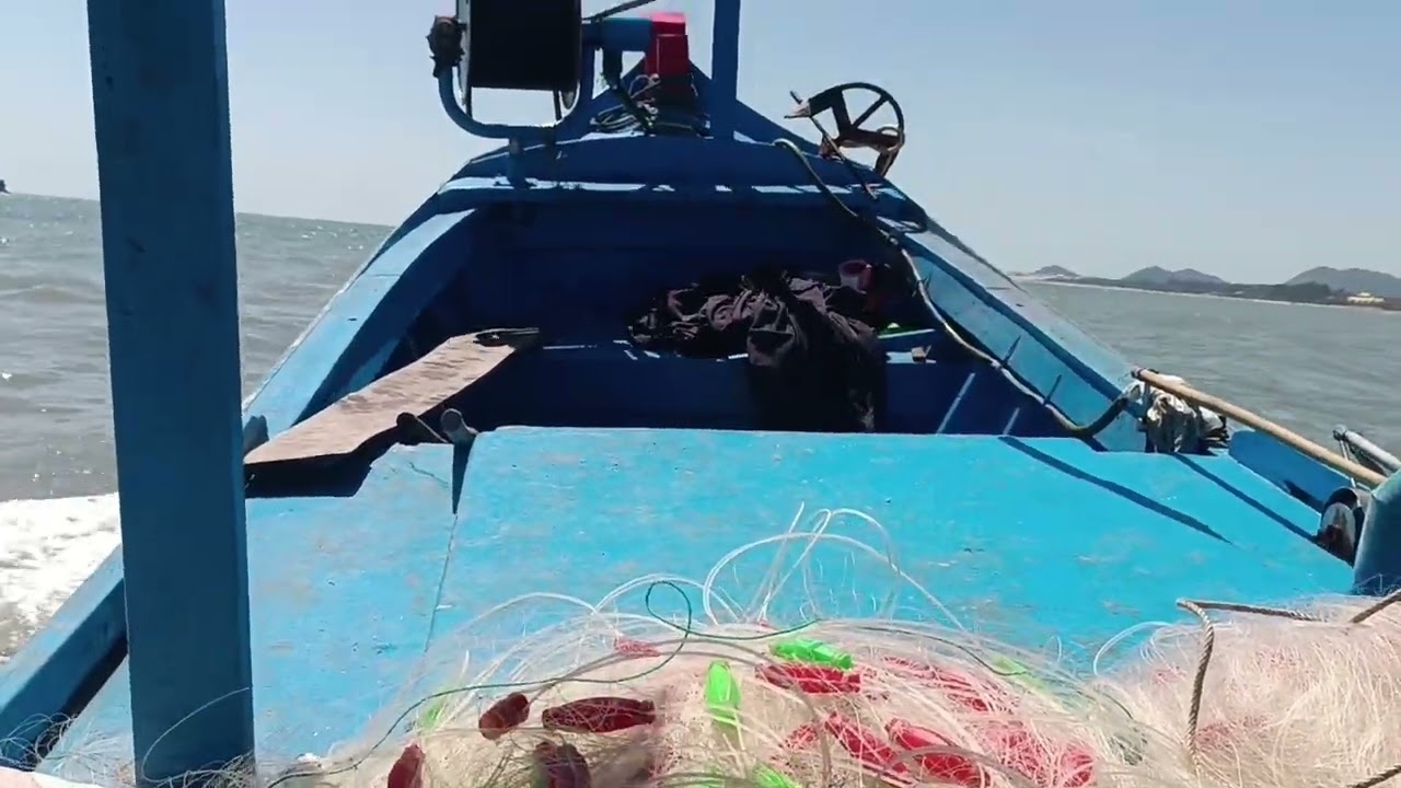 Trải nghiệm đi lưới cá bàn sa. 