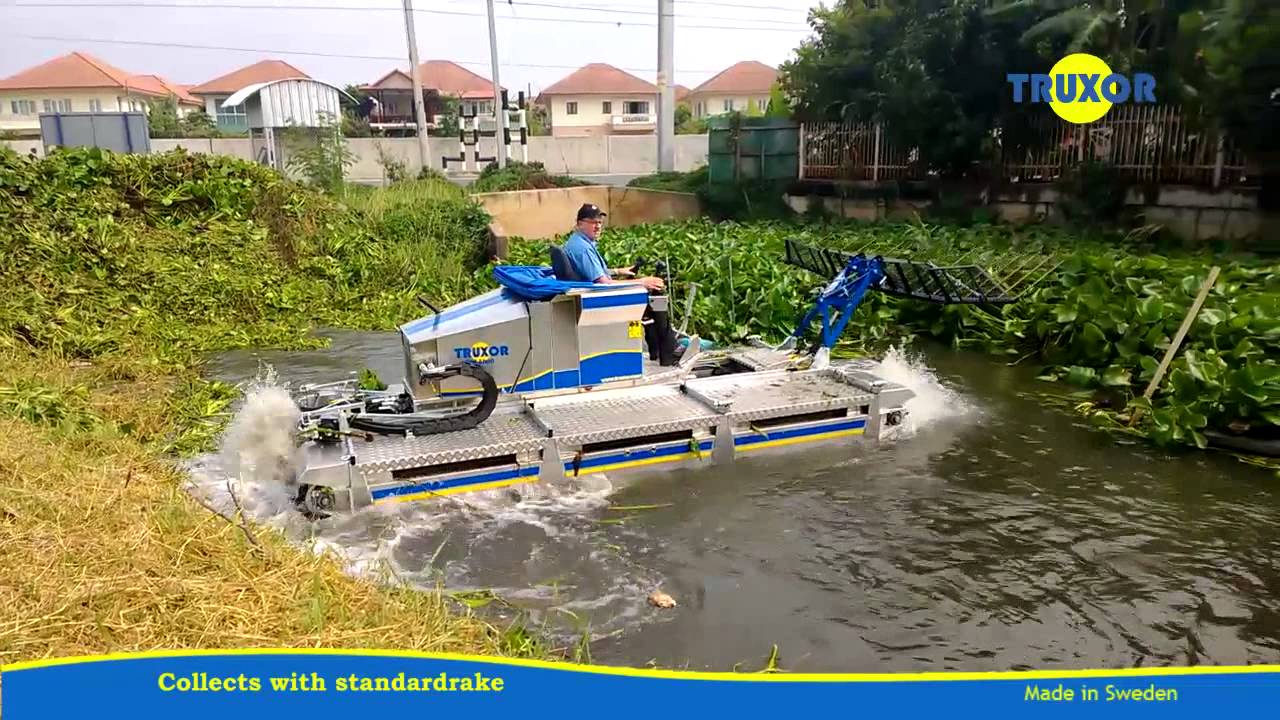 Truxor Original water hyacinth