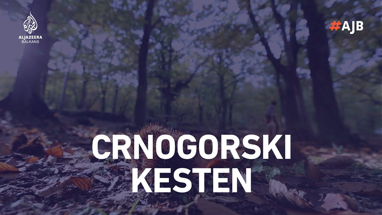 Crnogorski kesten