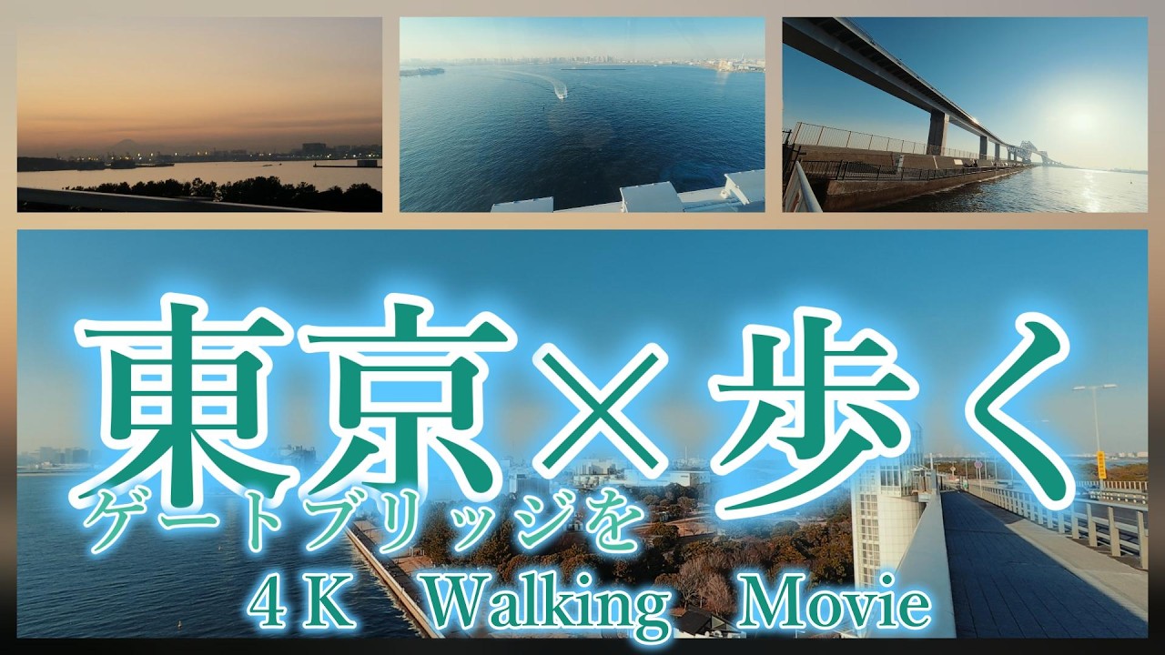 【30分】4K | 東京湾×渡る×歩く #寝かしつけ用 #勉強用 #チラ見用 #明治神宮 #walking  #東京ゲートブリッジ #tokyogatebrege #海の森公園 #uminomori