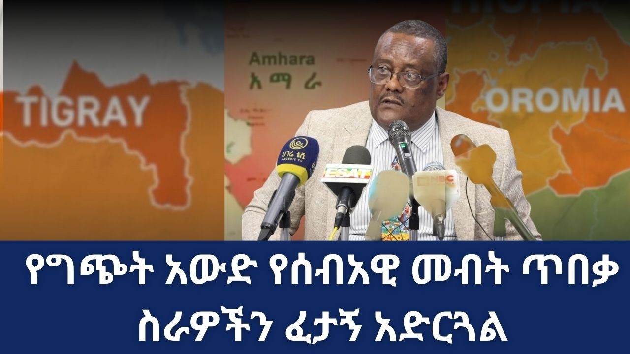በኦሮሚያ፣ አማራ እና ትግራይ ክልሎች ያለው “የግጭት አውድ”፤ የሰብአዊ መብት ጥበቃ ስራዎችን “ፈታኝ ማድረጉ” ተገለጸ| EHRC| Birhanu Adelo