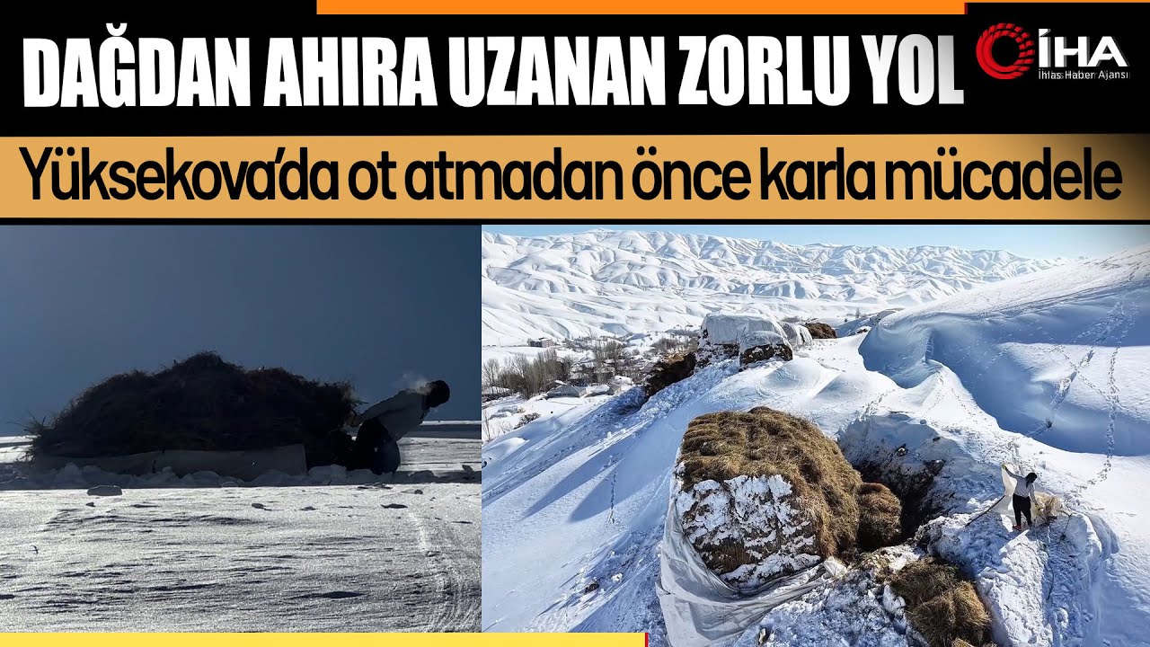 Karlı Dağlardan Ahırlara Uzanan Yol: Eksi 25 Derecede Hayat Mücadelesi
