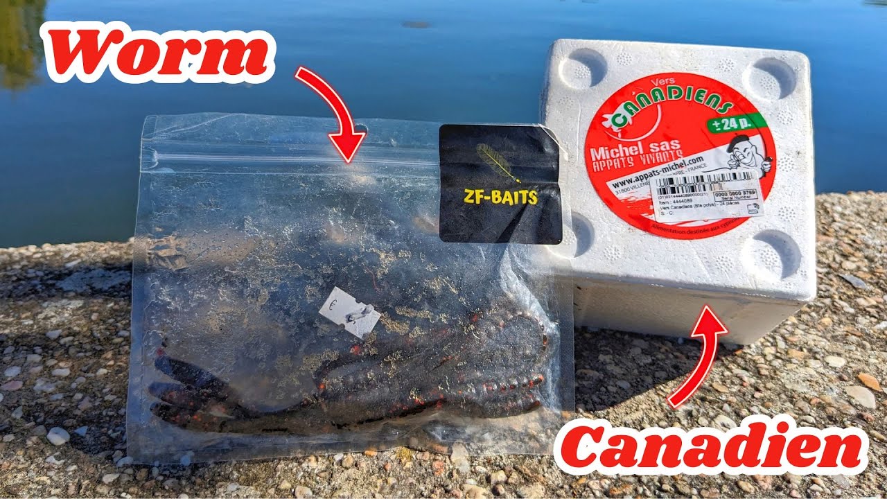 L'APPAT NATUREL plus EFFICACE que le WORM pour la PECHE du BLACK BASS? On se DEFIE (Feat BRUNO)