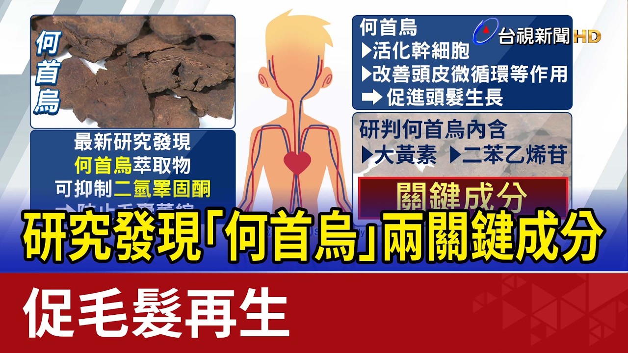 研究發現「何首烏」兩關鍵成分 促毛髮再生